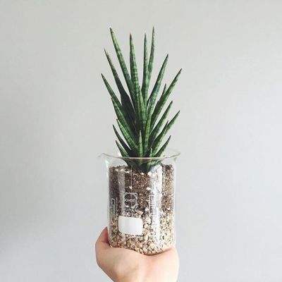 yabo官网网页版手机app下载