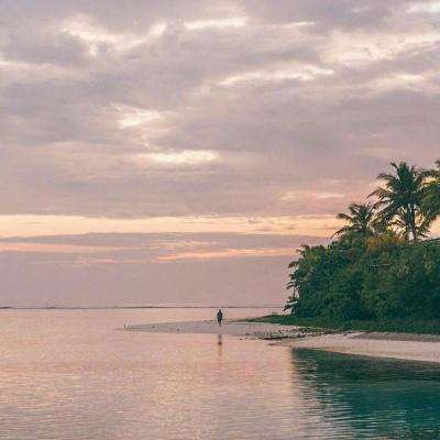 麻将胡了网站入口