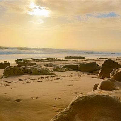 一分赛车app下载官方