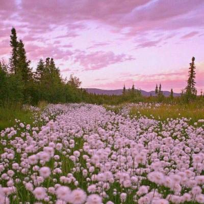 500彩票welcome登录