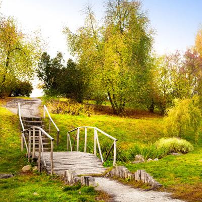 足球赌注软件手机app下载