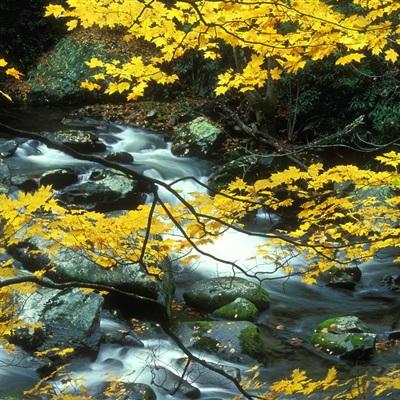 万博全站(ManBetX)